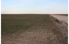 Property photo 18 - Kansas Land Auction - 960 Acres - 7 Farms in 3 Counties